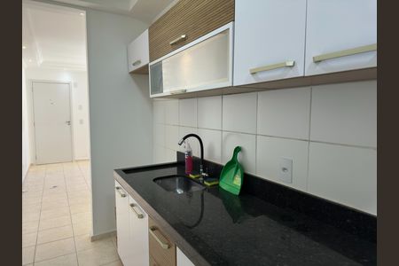 Apartamento para alugar com 55m², 2 quartos e 1 vaga Apartamento para alugar com 55m², 2 quartos e 1 vagaCozinha - Torneira