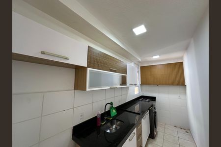Apartamento para alugar com 55m², 2 quartos e 1 vaga Apartamento para alugar com 55m², 2 quartos e 1 vagaCozinha - Armários