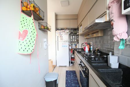 Cozinha de apartamento para alugar com 2 quartos, 45m² em Vila Andrade, São Paulo