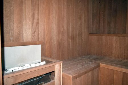 Apartamento para alugar com 29m², 1 quarto e sem vagaSauna