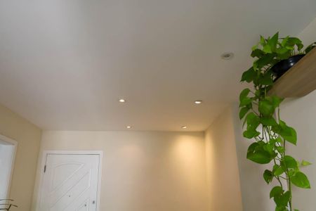 Apartamento para alugar com 66m², 2 quartos e 1 vaga Apartamento para alugar com 66m², 2 quartos e 1 vagaSala
