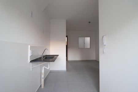 Cozinha de apartamento para alugar com 2 quartos, 45m² em Quintino Facci Ii, Ribeirão Preto