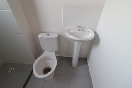 Banheiro de apartamento para alugar com 2 quartos, 45m² em Quintino Facci Ii, Ribeirão Preto
