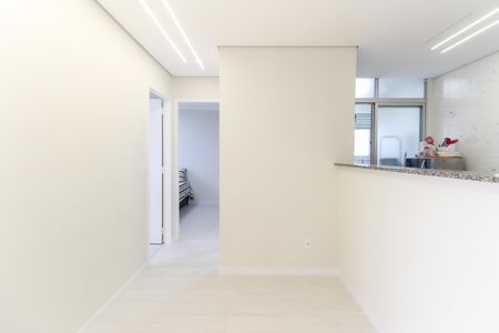 Sala de apartamento para alugar com 2 quartos, 56m² em Vila Carmosina, São Paulo