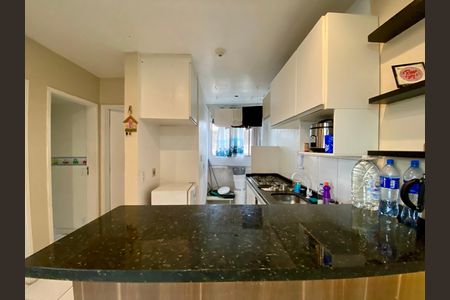 Apartamento para alugar com 50m², 2 quartos e 1 vagaCozinha - Armários