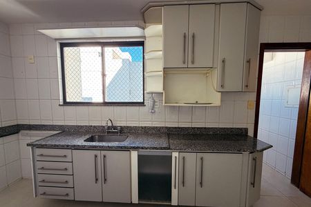 Apartamento para alugar com 120m², 3 quartos e 2 vagas Apartamento para alugar com 120m², 3 quartos e 2 vagasCozinha - Armários