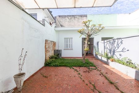 Quintal de casa para alugar com 3 quartos, 180m² em Parque Colonial, São Paulo