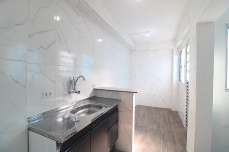 Cozinha de casa para alugar com 1 quarto, 45m² em Jardim Santa Barbara, São Paulo