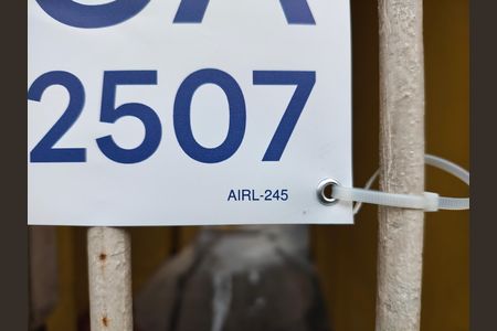 Casa para alugar com 35m², 1 quarto e sem vagaPlaquinha