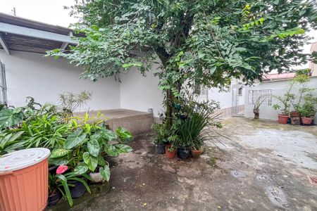 Casa para alugar com 60m², 1 quarto e 1 vaga Casa para alugar com 60m², 1 quarto e 1 vagaQuintal