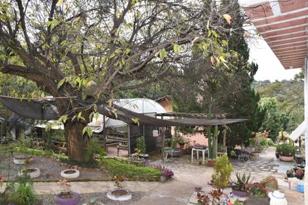 Casa à venda com 20800m², 3 quartos e 3 vagasArea ao redor da casa