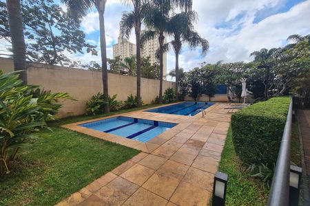 Apartamento para alugar com 47m², 2 quartos e 1 vaga Apartamento para alugar com 47m², 2 quartos e 1 vagaÁrea comum - Piscina