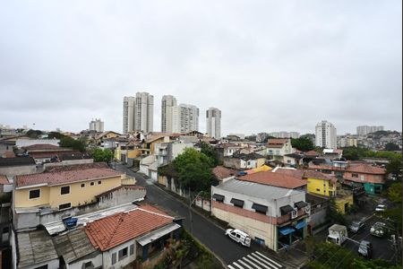 Apartamento para alugar com 67m², 3 quartos e 2 vagasVista