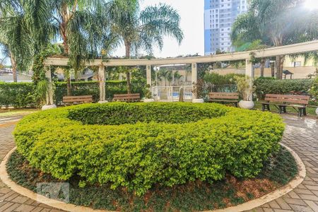 Apartamento para alugar com 62m², 2 quartos e 1 vagaÁrea Comum 