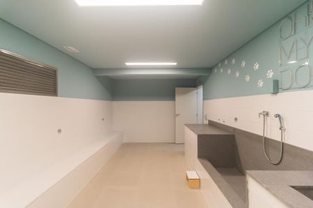 Apartamento para alugar com 50m², 2 quartos e 1 vaga Apartamento para alugar com 50m², 2 quartos e 1 vagaPet Care
