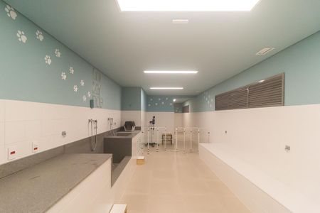 Apartamento para alugar com 50m², 2 quartos e 1 vaga Apartamento para alugar com 50m², 2 quartos e 1 vagaPet Care