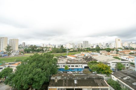 Apartamento para alugar com 50m², 2 quartos e 1 vaga Apartamento para alugar com 50m², 2 quartos e 1 vagaVista da suíte
