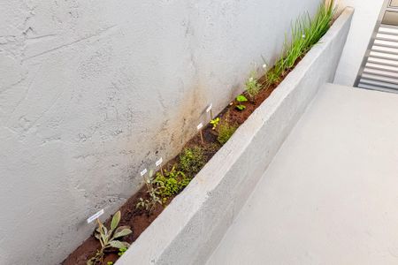 Studio para alugar com 50m², 1 quarto e 1 vagaHorta