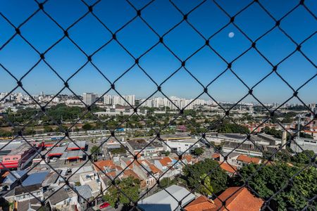Vista sala de apartamento para alugar com 3 quartos, 74m² em Piqueri, São Paulo