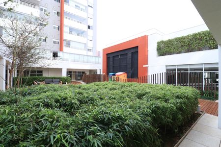 Apartamento para alugar com 42m², 1 quarto e 1 vagaÁrea comum 