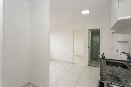 Cozinha de apartamento para alugar com 2 quartos, 33m² em Cidade Mãe do Céu, São Paulo