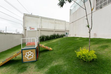 Apartamento para alugar com 33m², 2 quartos e sem vaga Apartamento para alugar com 33m², 2 quartos e sem vagaÁrea comum - Espaço Pet