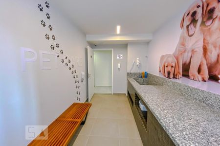 Apartamento para alugar com 33m², 2 quartos e sem vaga Apartamento para alugar com 33m², 2 quartos e sem vagaÁrea comum - Pet Care