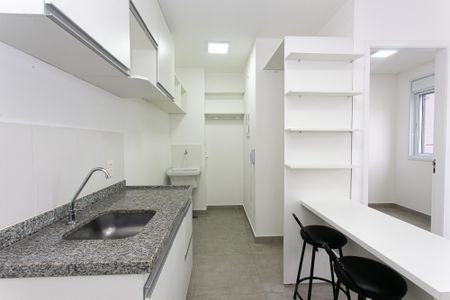 Cozinha de apartamento para alugar com 2 quartos, 33m² em Cidade Mãe do Céu, São Paulo
