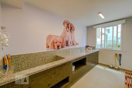 Apartamento para alugar com 33m², 2 quartos e sem vaga Apartamento para alugar com 33m², 2 quartos e sem vagaÁrea comum - Pet Care