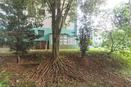 Apartamento para alugar com 49m², 2 quartos e 1 vagaCozinha - vista