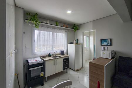 Apartamento para alugar com 55m², 2 quartos e sem vagaCozinha 