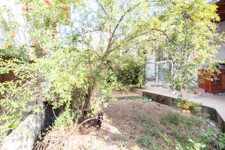 Quintal de casa à venda com 3 quartos, 360m² em Planalto, Belo Horizonte