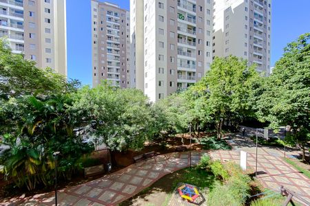 Apartamento para alugar com 63m², 3 quartos e 1 vaga Apartamento para alugar com 63m², 3 quartos e 1 vagaVista da Varanda