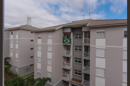 Vista do Quarto 1 de apartamento para alugar com 2 quartos, 49m² em Recanto do Sol I, Campinas