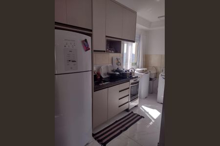 Cozinha de apartamento para alugar com 2 quartos, 47m² em Lajeado, Cotia