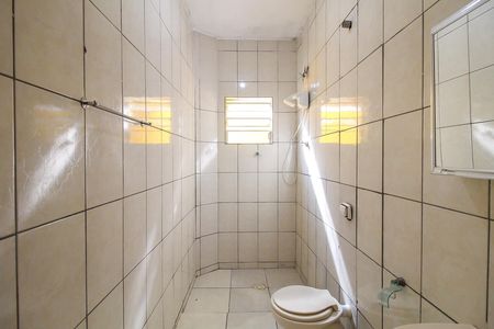 Banheiro de casa para alugar com 1 quarto, 50m² em Jardim das Camelias, São Paulo