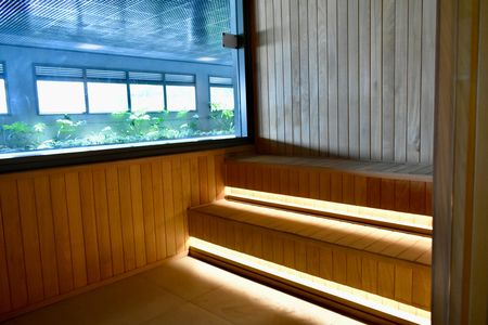 Studio para alugar com 25m², 1 quarto e sem vagaSaúna