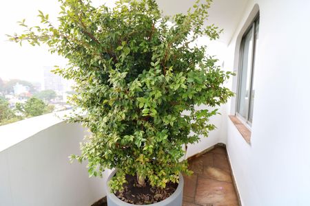 Varanda de apartamento à venda com 4 quartos, 200m² em Santo Amaro, São Paulo