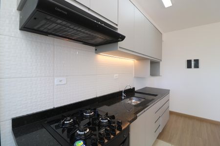 Apartamento para alugar com 45m², 2 quartos e sem vagaCozinha