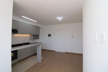 Sala de apartamento para alugar com 2 quartos, 45m² em Vila Formosa, São Paulo