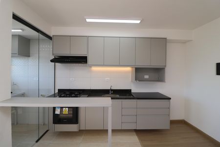 Apartamento para alugar com 45m², 2 quartos e sem vagaCozinha