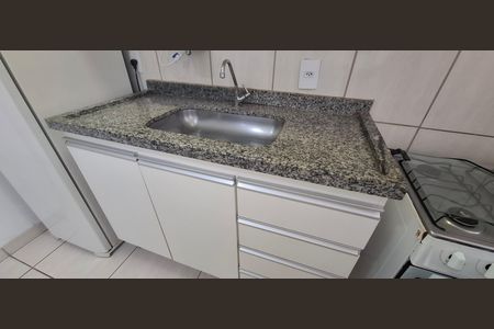 Cozinha de apartamento para alugar com 1 quarto, 31m² em Vila Monte Alegre, Ribeirão Preto
