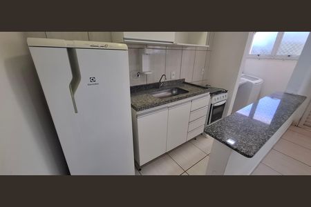 Cozinha de apartamento para alugar com 1 quarto, 31m² em Vila Monte Alegre, Ribeirão Preto