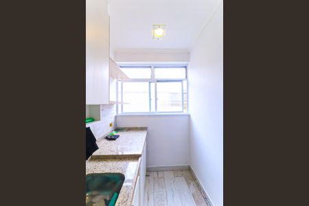 Apartamento para alugar com 50m², 2 quartos e 1 vagaCozinha e Área de Serviço