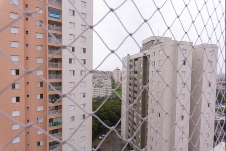 Vista da Suíte de apartamento para alugar com 3 quartos, 74m² em Jardim Nova Europa, Campinas