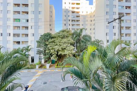 Apartamento para alugar com 55m², 2 quartos e 1 vaga Apartamento para alugar com 55m², 2 quartos e 1 vagaVista