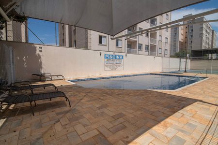 Apartamento para alugar com 66m², 2 quartos e 1 vagaÁrea Comum - Piscina