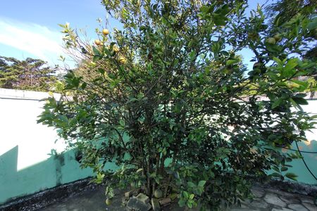 Casa de condomínio à venda com 213m², 3 quartos e 1 vagaQuintal