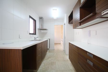 Apartamento para alugar com 263m², 3 quartos e 3 vagasCozinha - Armários