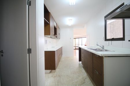 Apartamento para alugar com 263m², 3 quartos e 3 vagasCozinha - Armários